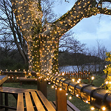 Warm White outdoor Christmas tree lights