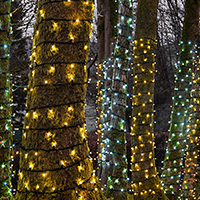 Outdoor Christmas Tree Lights