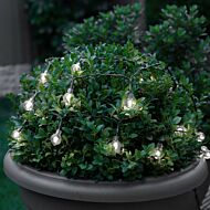 5m Indoor & Outdoor Battery Clear Berry Fairy Lights, Green Cable