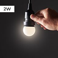 FestoonPro 2W E27 LED Festoon Bulb