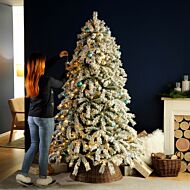 7ft Pre Lit Snowy Ridge Frosted Pine Christmas Tree