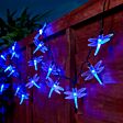 5m Outdoor Battery Dragonfly Fairy Lights, Green Cable