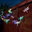5m Outdoor Battery Dragonfly Fairy Lights, Green Cable