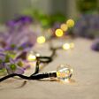 5m Outdoor Battery Clear Berry Fairy Lights, Green Cable