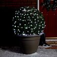 10m Outdoor Battery Clear Berry Fairy Lights, White LEDs, Green Cable