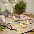 10m Outdoor Battery Clear Berry Fairy Lights, Warm White LEDs, Green Cable