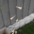 5m Outdoor Battery Clear Berry Fairy Lights, Warm White LEDs, Clear Cable