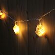 Battery Real Shell Fairy Lights, 10 Warm White LEDs