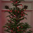 10m Outdoor Christmas Tree Berry Fairy Lights, 100 LEDs