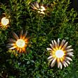 Solar Metal Flower Fairy Light
