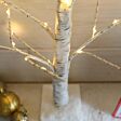 2ft Battery Birch Twig Tree, 60 Warm White LEDs
