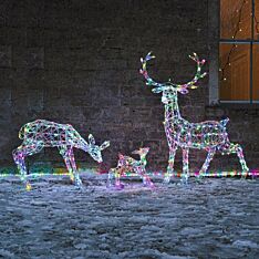 70cm Doe and Baby Reindeer Figure with Remote Control, Colour Select LEDs