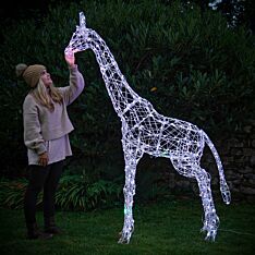 2m Outdoor Giraffe Figure with Remote, Colour Select LEDs