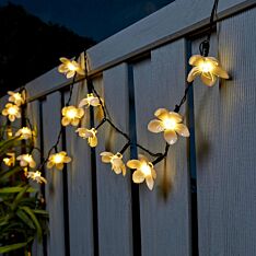5m Indoor & Outdoor Battery Cherry Blossom Fairy Lights, Green Cable