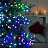 6m Outdoor Christmas Tree Berry Lights, 200 Colour Select LEDs, Remote Controlled