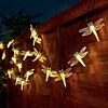 5m Indoor & Outdoor Battery Dragonfly Fairy Lights, Warm White LEDs, Green Cable