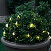 5m Indoor & Outdoor Battery Clear Berry Fairy Lights, Warm White LEDs, Green Cable