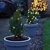 2m Outdoor Battery Silver Firefly Wire Fairy Lights, 20 Warm White LEDs     
