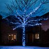 5m Blue Fairy Lights, Connectable, 50 LEDs, Dark Green Cable