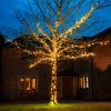5m Gold Fairy Lights, Connectable, 50 LEDs, Dark Green Cable