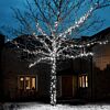 5m White Fairy Lights, Connectable, 50 LEDs, Dark Green Cable