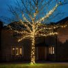 5m Warm White Fairy Lights, Connectable, 50 LEDs, Dark Green Cable