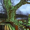 5M Green String Lights, Connectable, 40 LEDs, Black Cable