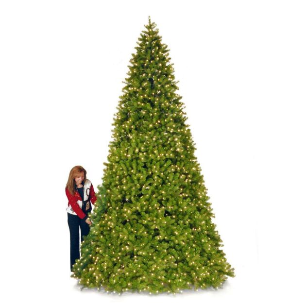 12ft Pre Lit Green Bayberry Spruce Artificial Christmas Tree