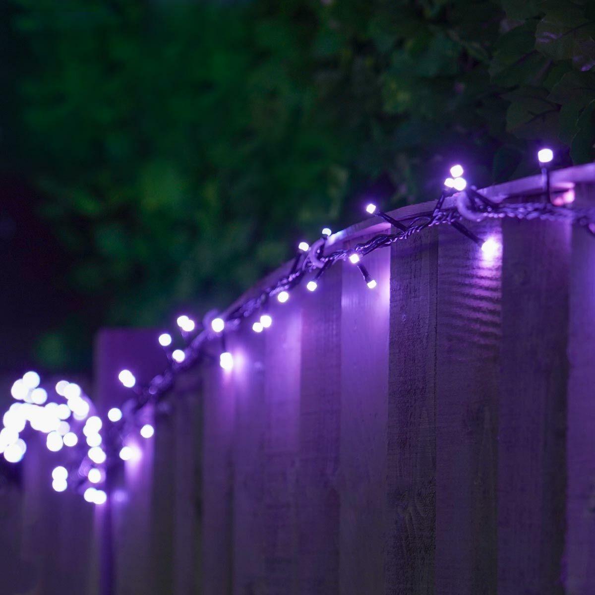 Indoor and Outdoor Christmas Tree Fairy Lights, Colour Select LEDs, Remote Controlled image 7