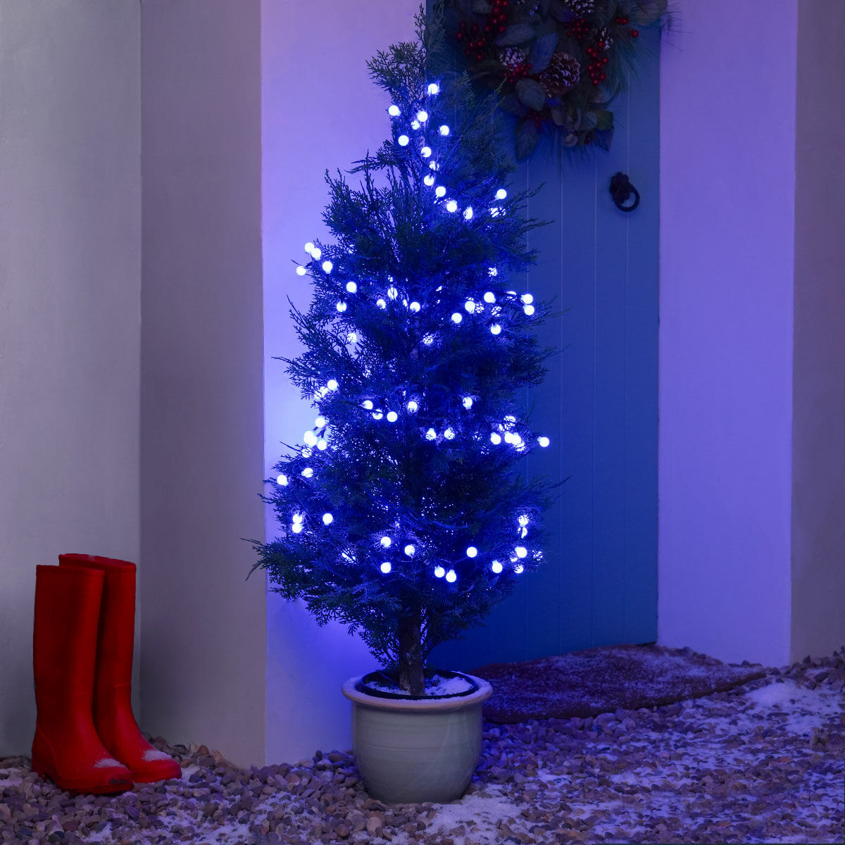 Indoor and Outdoor Christmas Tree Berry Lights, Colour Select LEDs, Remote Controlled image 8