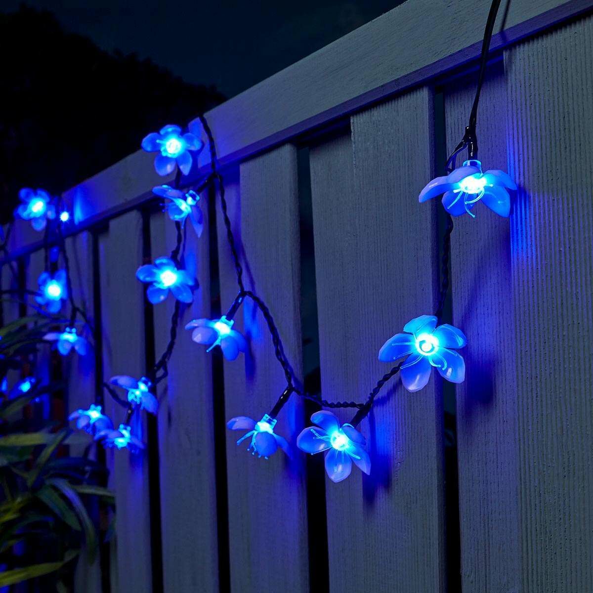 5m Indoor & Outdoor Battery Blossom Fairy Lights, Blue LEDs, Green Cable