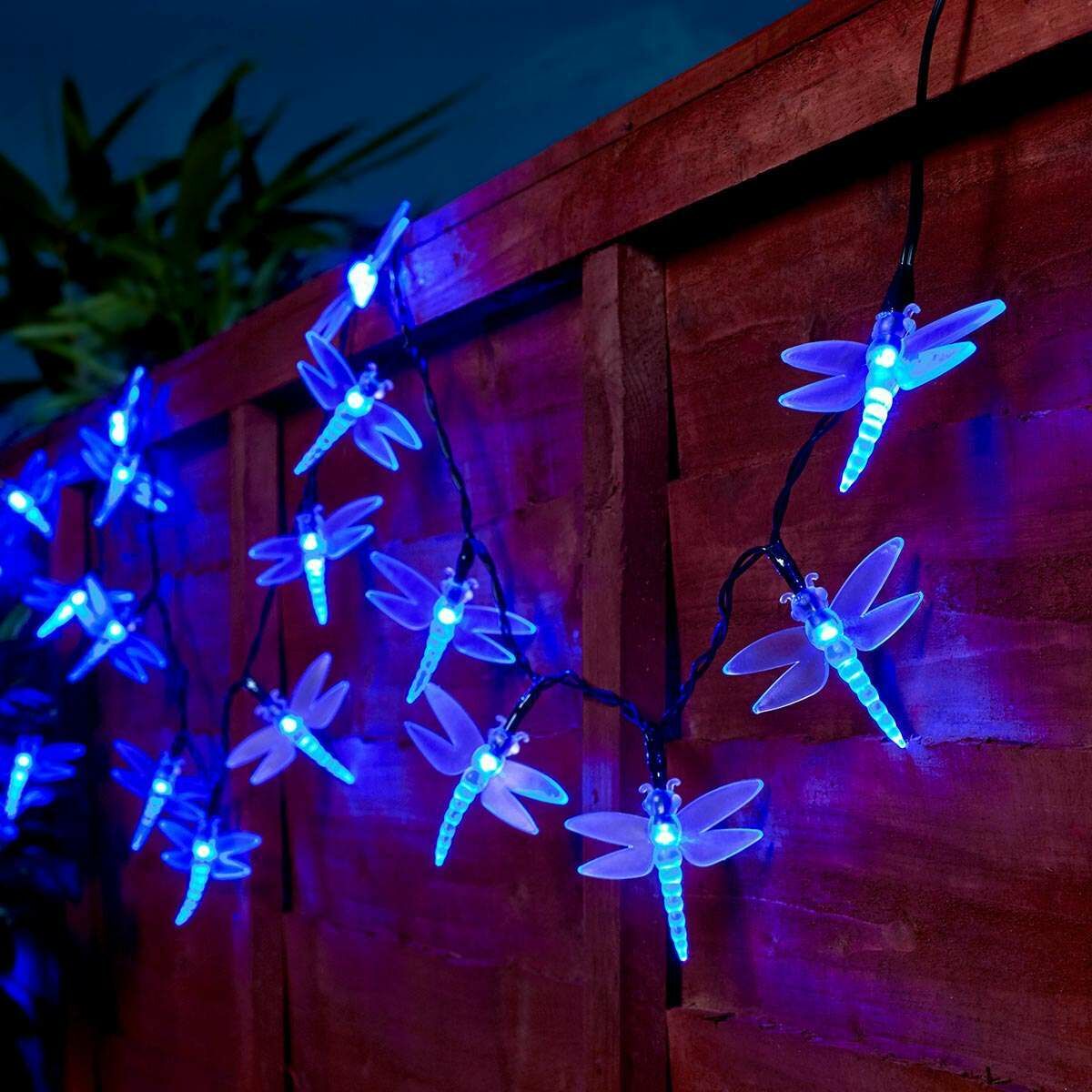 5m Indoor & Outdoor Battery Dragonfly Fairy Lights, Blue LEDs, Green Cable image 1