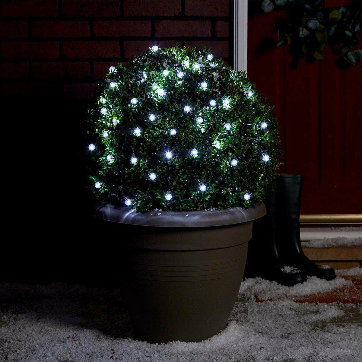 5m Indoor & Outdoor Battery Berry Fairy Lights, Green Cable image 2