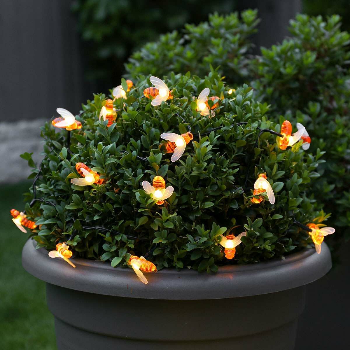 2m Outdoor Battery Bee Fairy Lights, Warm White LEDs, Green Cable image 4