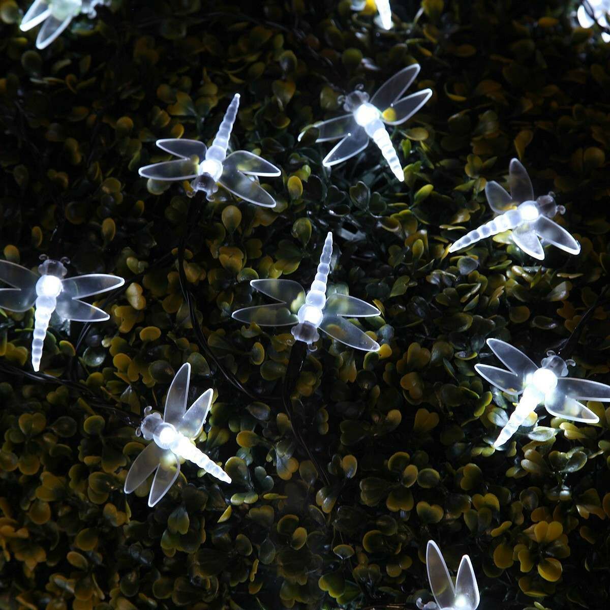 Solar Multi Function Dragonfly Fairy Lights, 100 White LEDs, 10m image 3