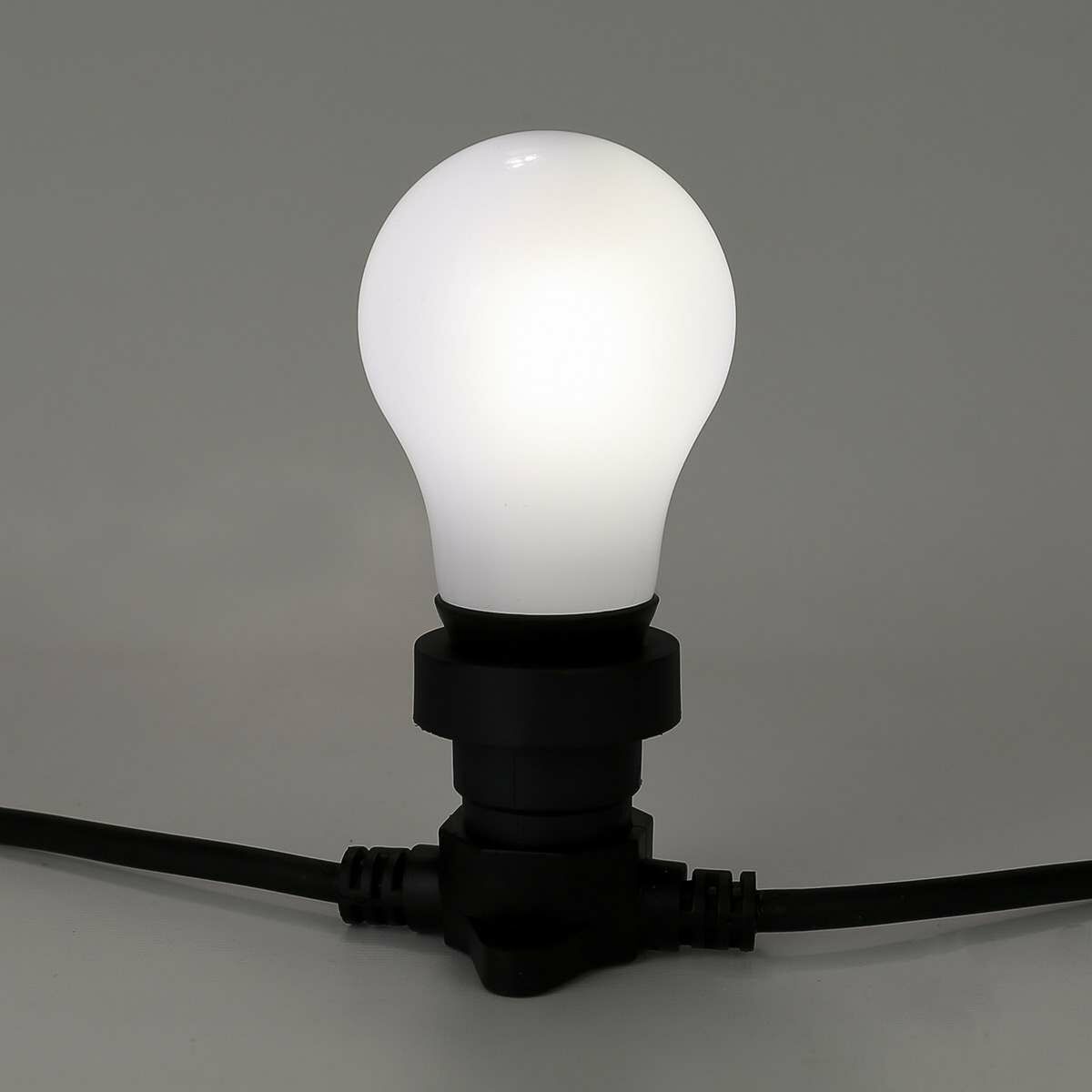 E27 LED A60 Festoon Bulb image 1