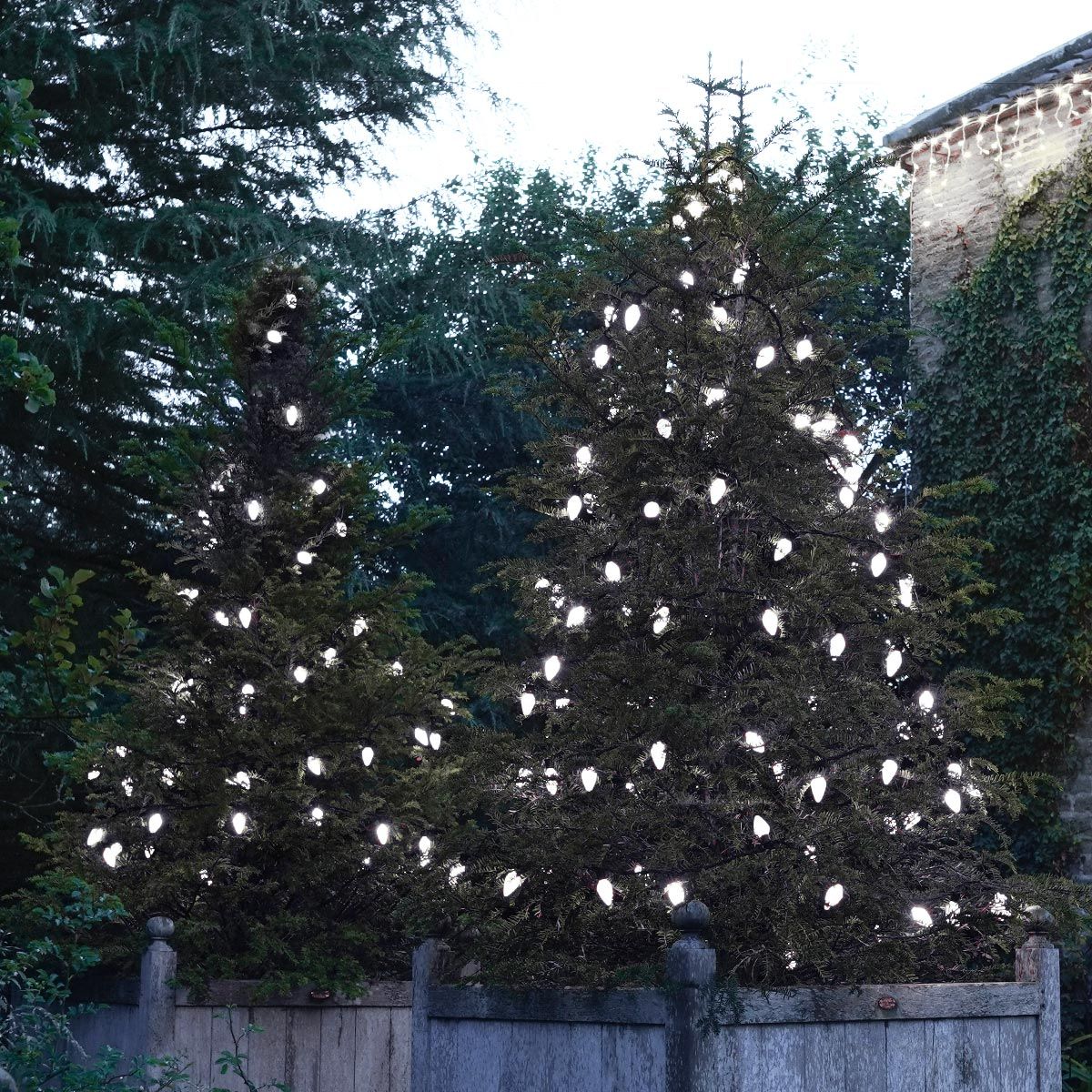 10m White Large Pinecone Connectable String Lights, 50 LEDs image 1