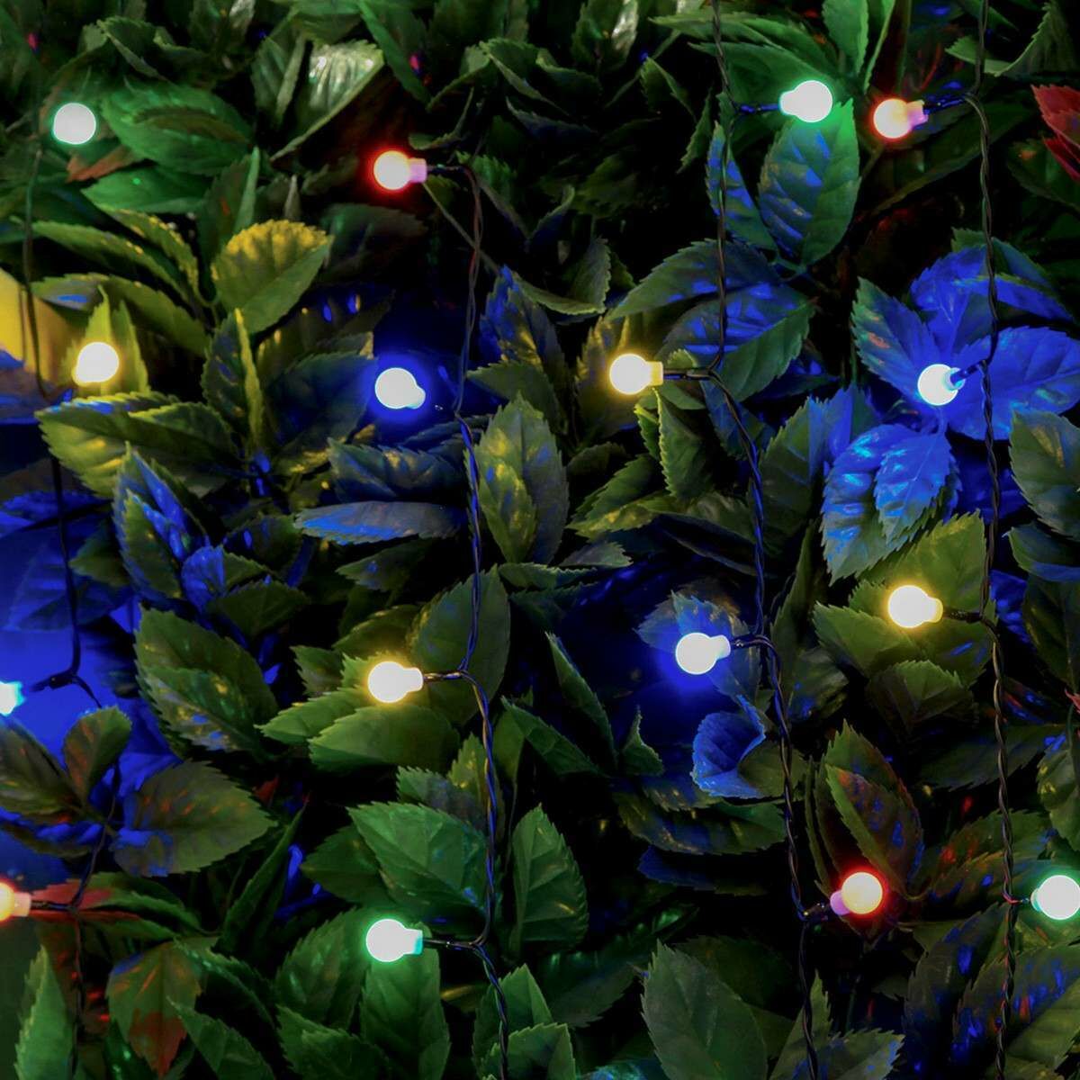 Solar Multi Function Berry Fairy Lights, 50 Multi Colour LEDs, 5m image 2