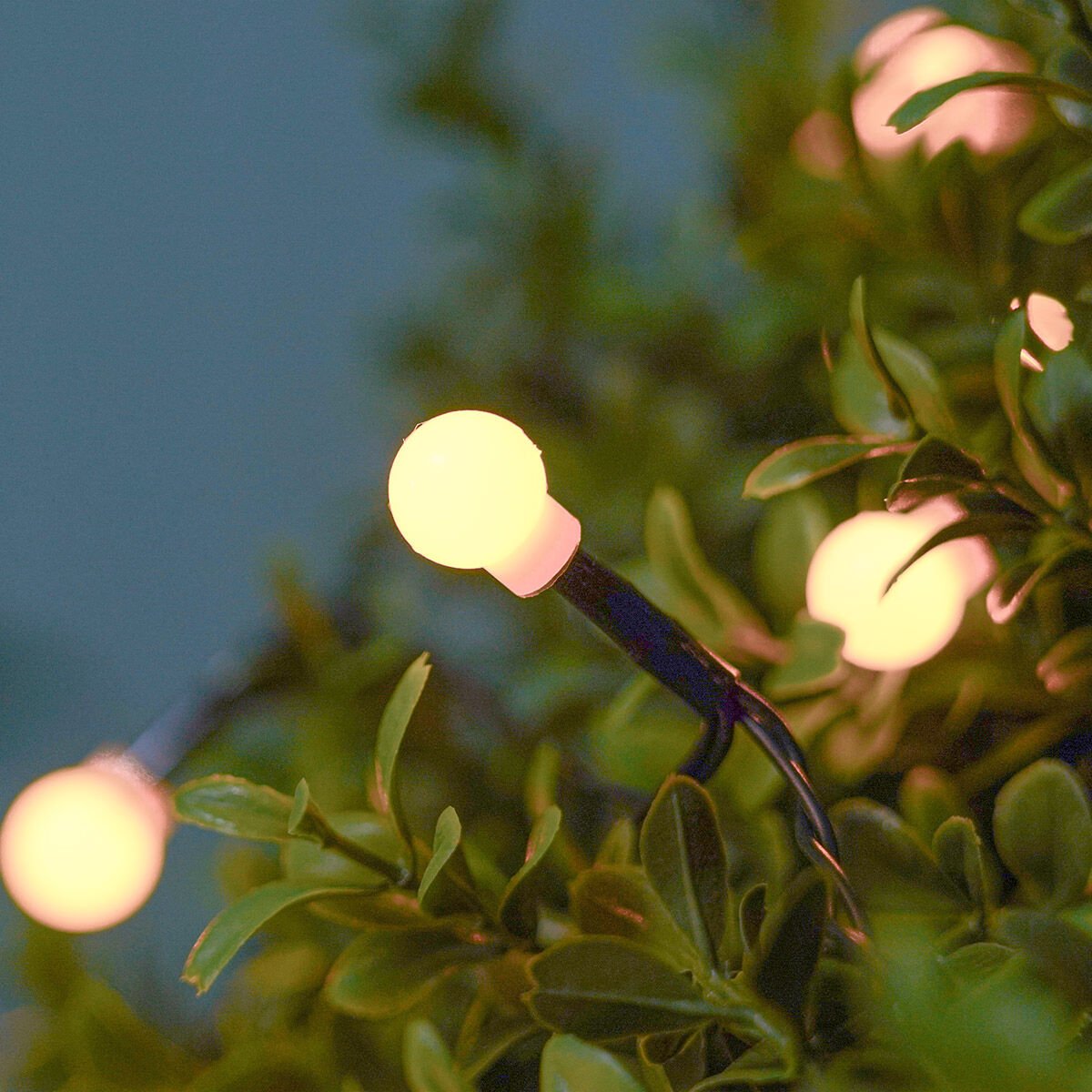 Solar Multi Function Berry Fairy Lights, 100 Warm White LEDs, 10m image 2
