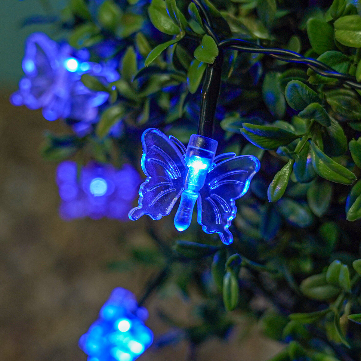 Solar Multi Function Butterfly Fairy Lights, 100 Blue LEDs, 10m image 2